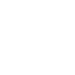 White icon of globe surrounded by orbit.