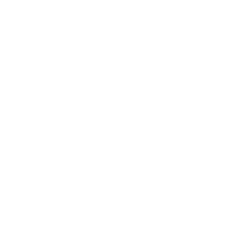 White icon of report with pie charts and success checkmark.
