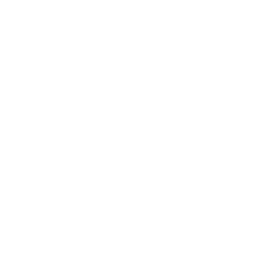Vector icon of a security lock inside a shield, depicted in white.